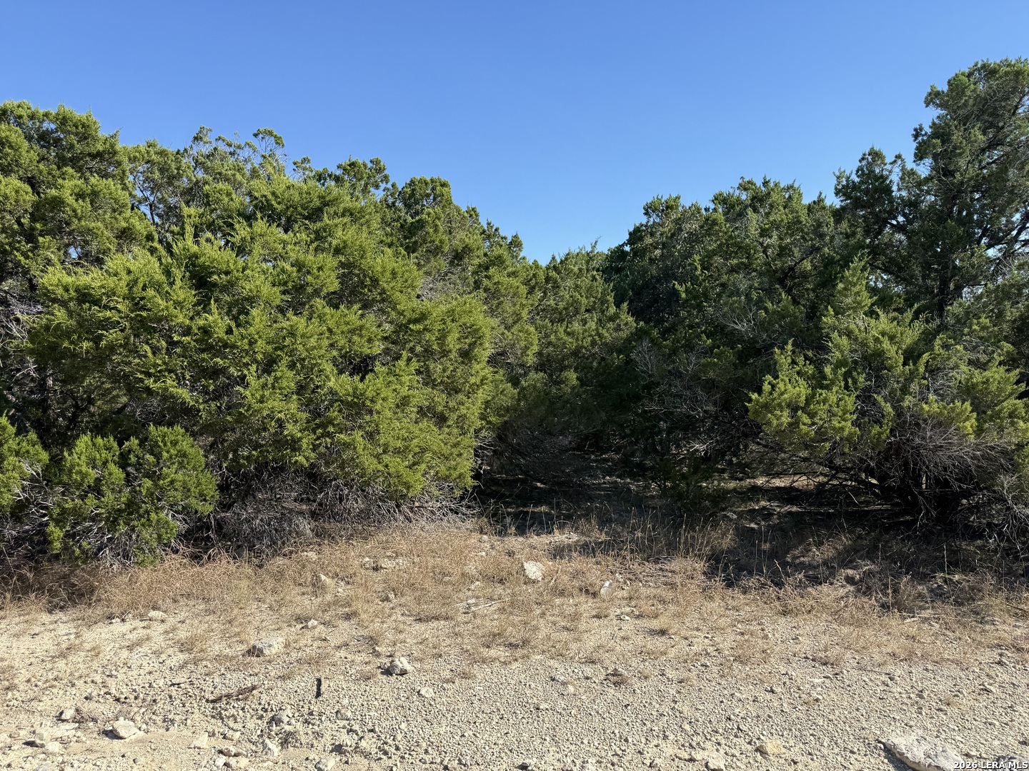 Lot 90 Deer Creek Spring Branch TX 78070