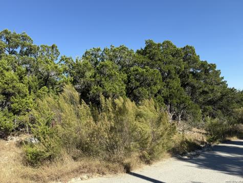 Lot 90 Deer Creek Spring Branch TX 78070