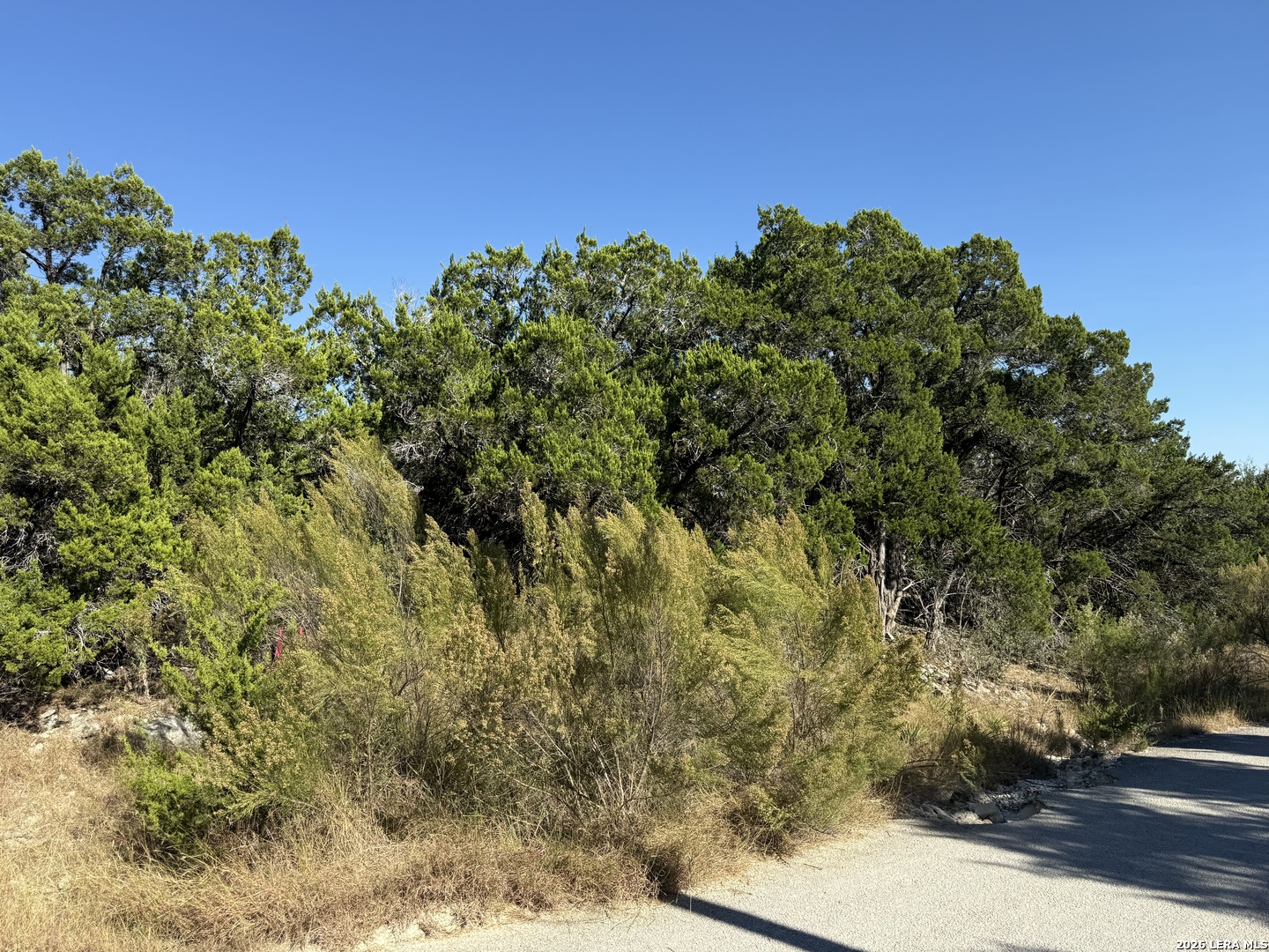 Lot 90 Deer Creek Spring Branch TX 78070