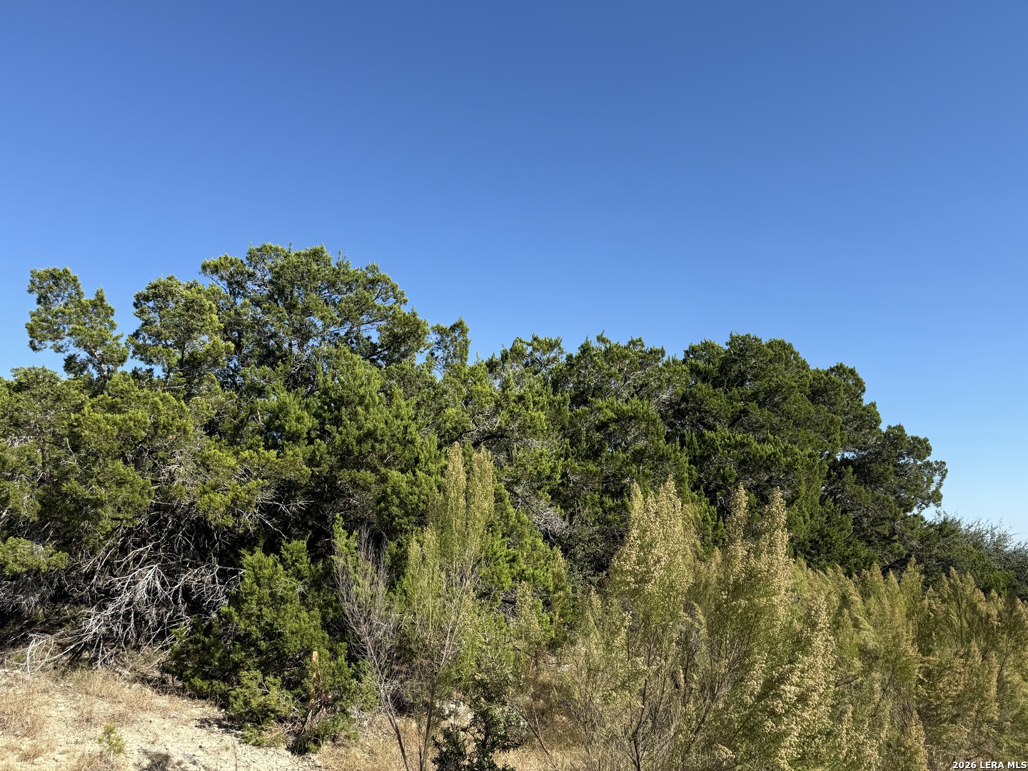 Lot 90 Deer Creek Spring Branch TX 78070