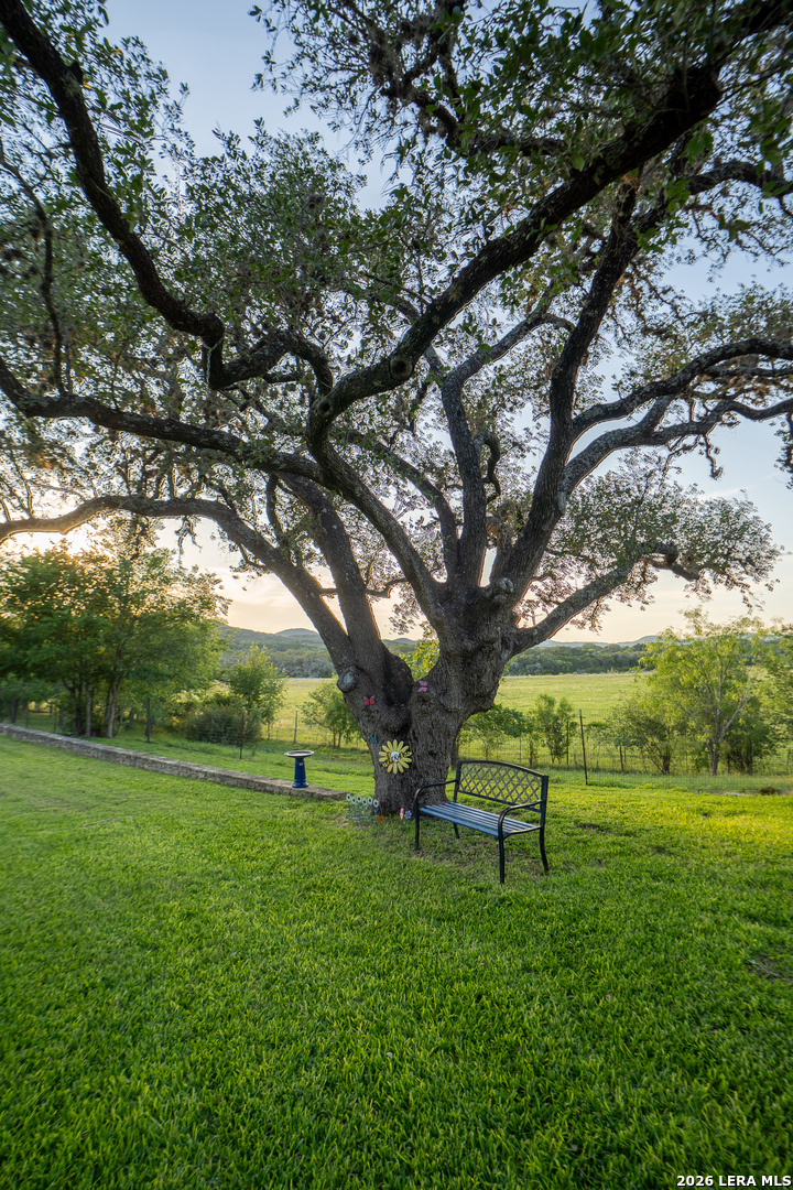 3273 Privilege Creek Road Pipe Creek TX 78063