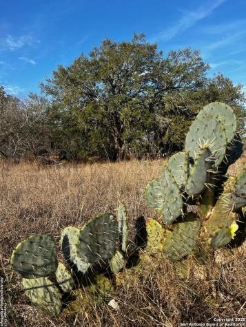 Lot 28 Mariposa Drive Poteet TX 78065