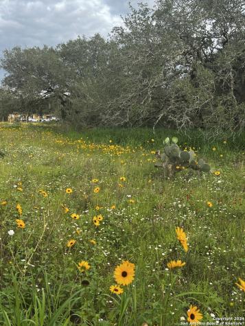 Lot 28 Mariposa Drive Poteet TX 78065