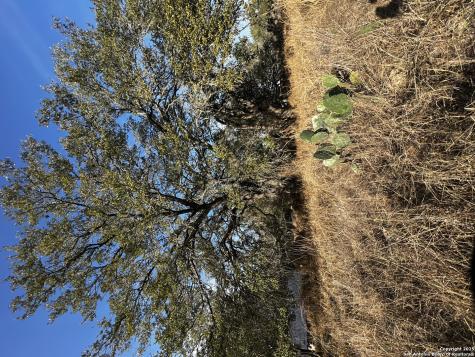 Lot 28 Mariposa Drive Poteet TX 78065
