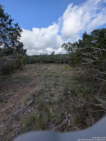 972 Serene Park Spring Branch TX 78070