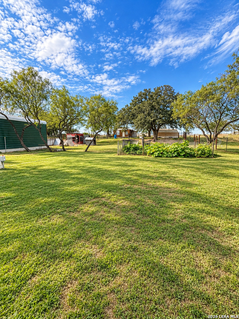99 Gonzales Lane La Vernia TX 78121