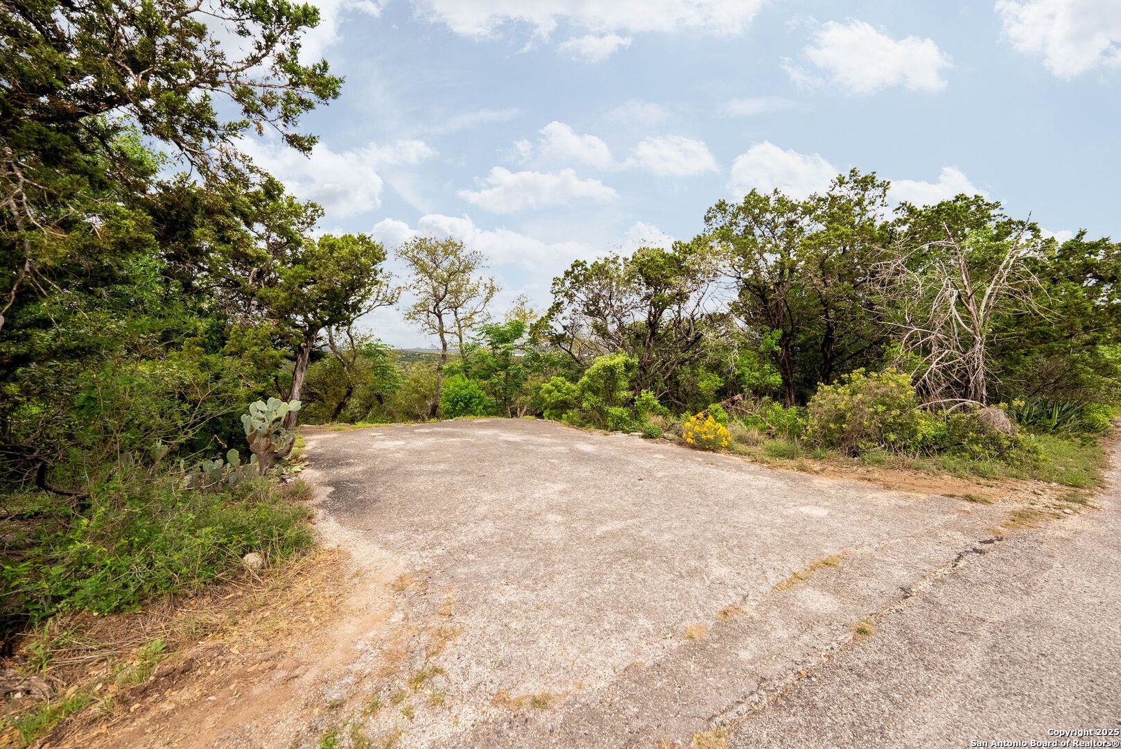 19019 Lookout Mountain Trail Grey Forest TX 78023