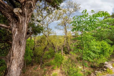 19019 Lookout Mountain Trail Grey Forest TX 78023