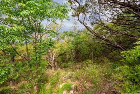 19019 Lookout Mountain Trail Grey Forest TX 78023