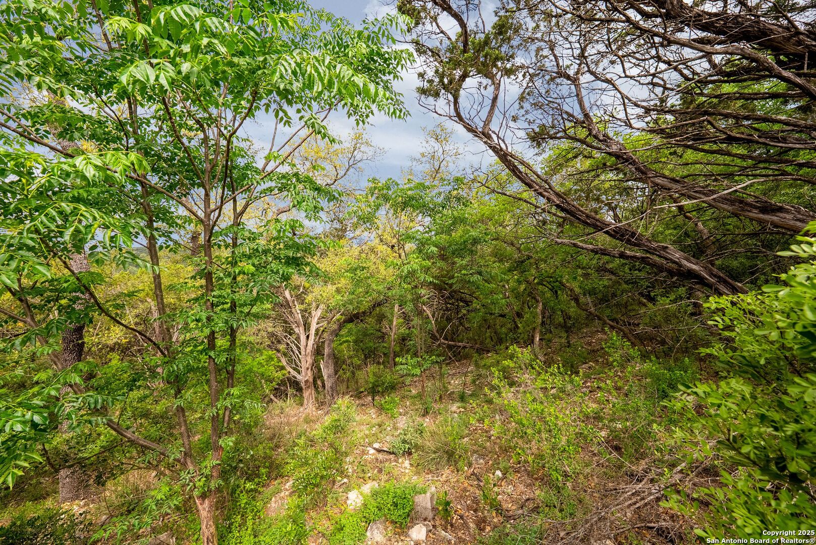 19019 Lookout Mountain Trail Grey Forest TX 78023