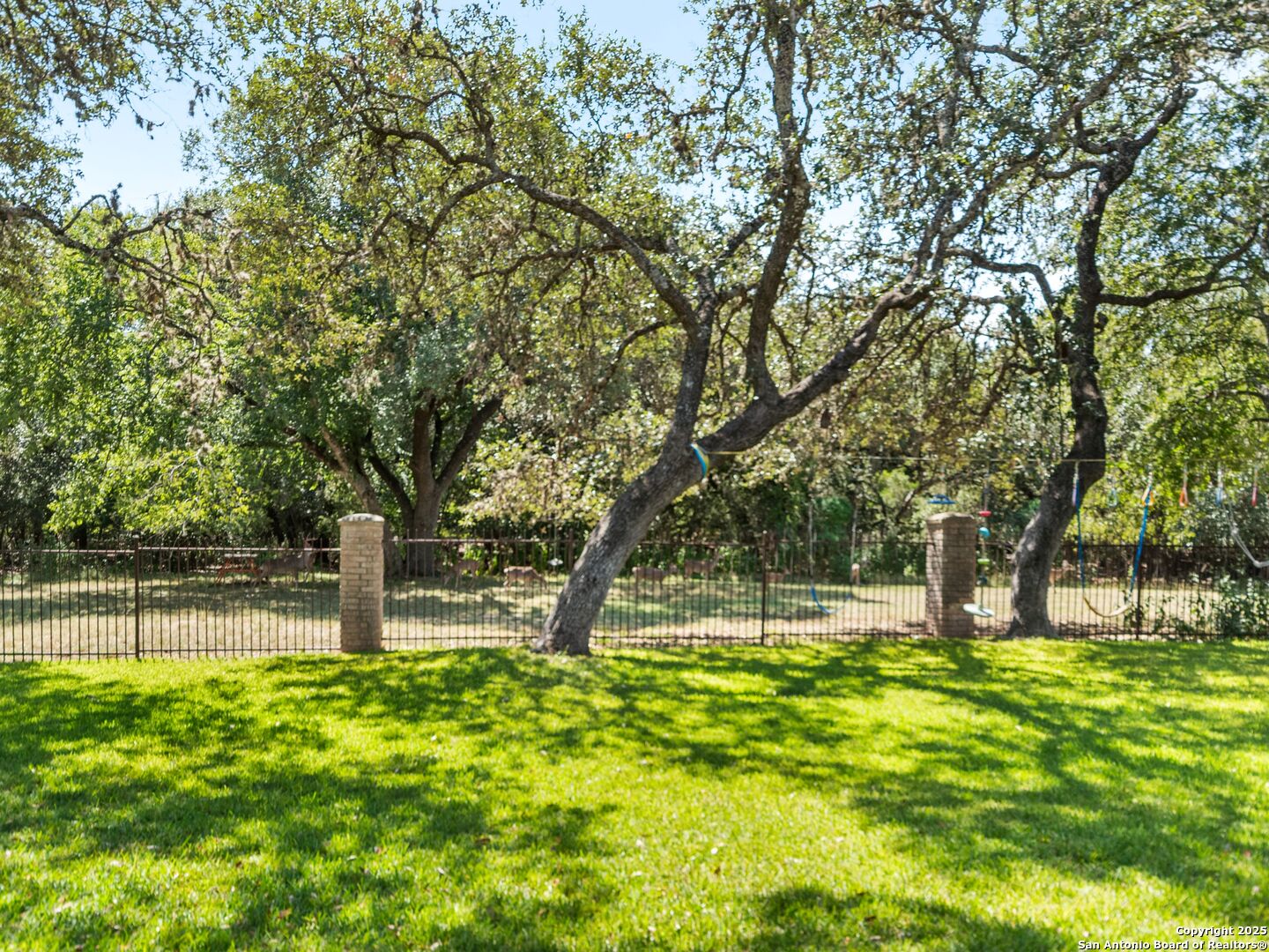 12511 Elm Country Lane San Antonio TX 78230