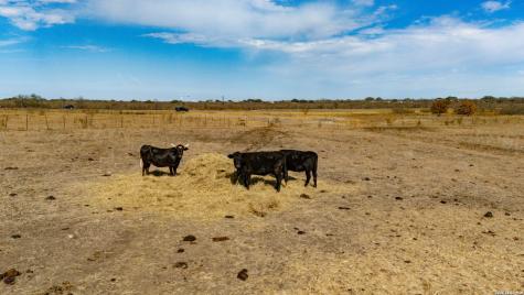 Lot 2a,2b,2c County Road 4631 Hondo TX 78861