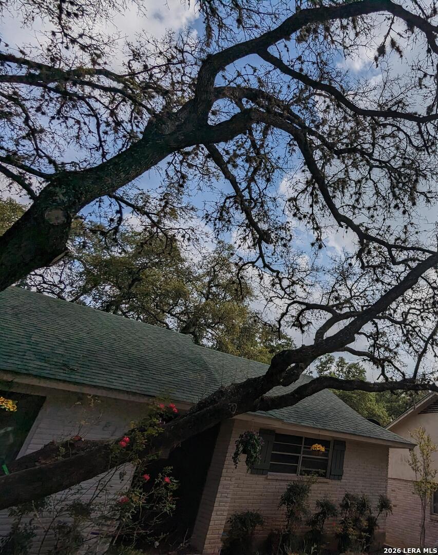 2818 Whisper Fawn Street San Antonio TX 78230