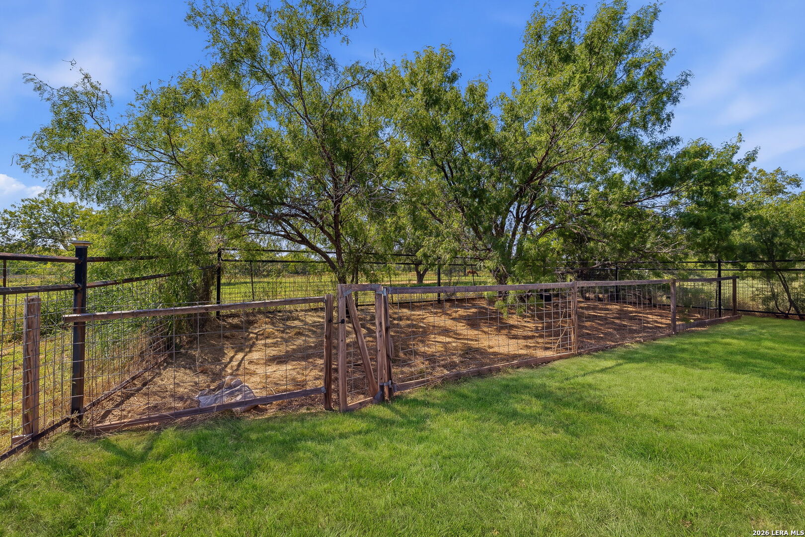 16807 Delana Avenue Elmendorf TX 78112