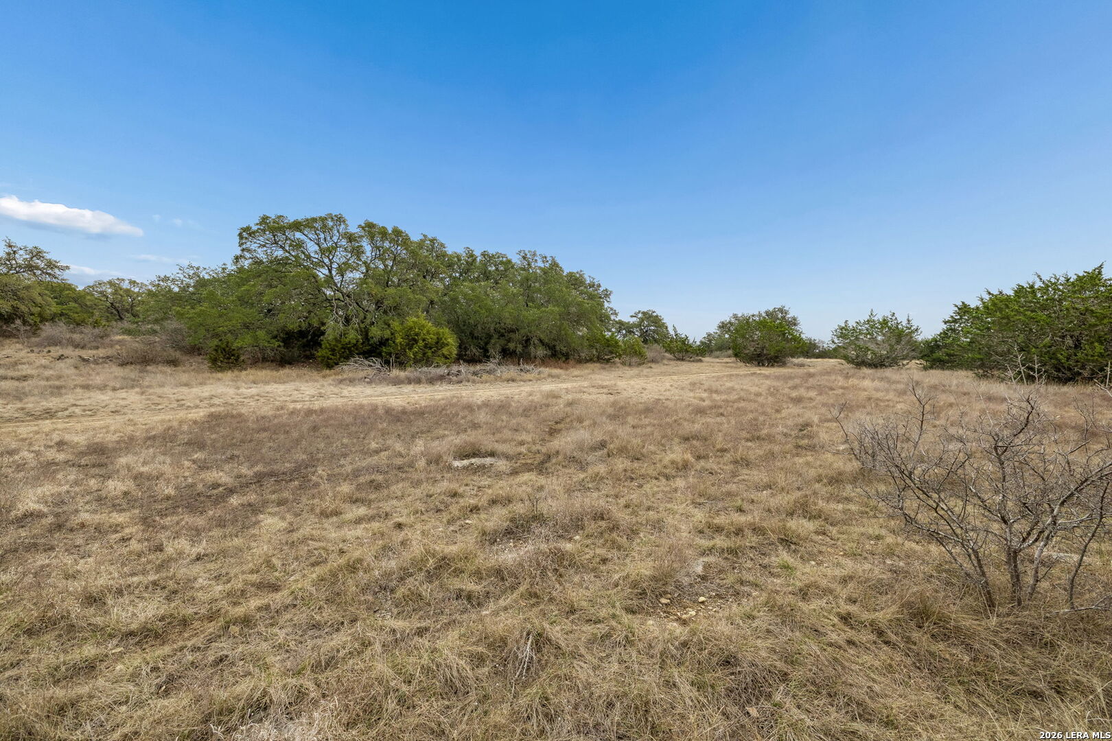 134 E Alex Jordan Blanco TX 78606