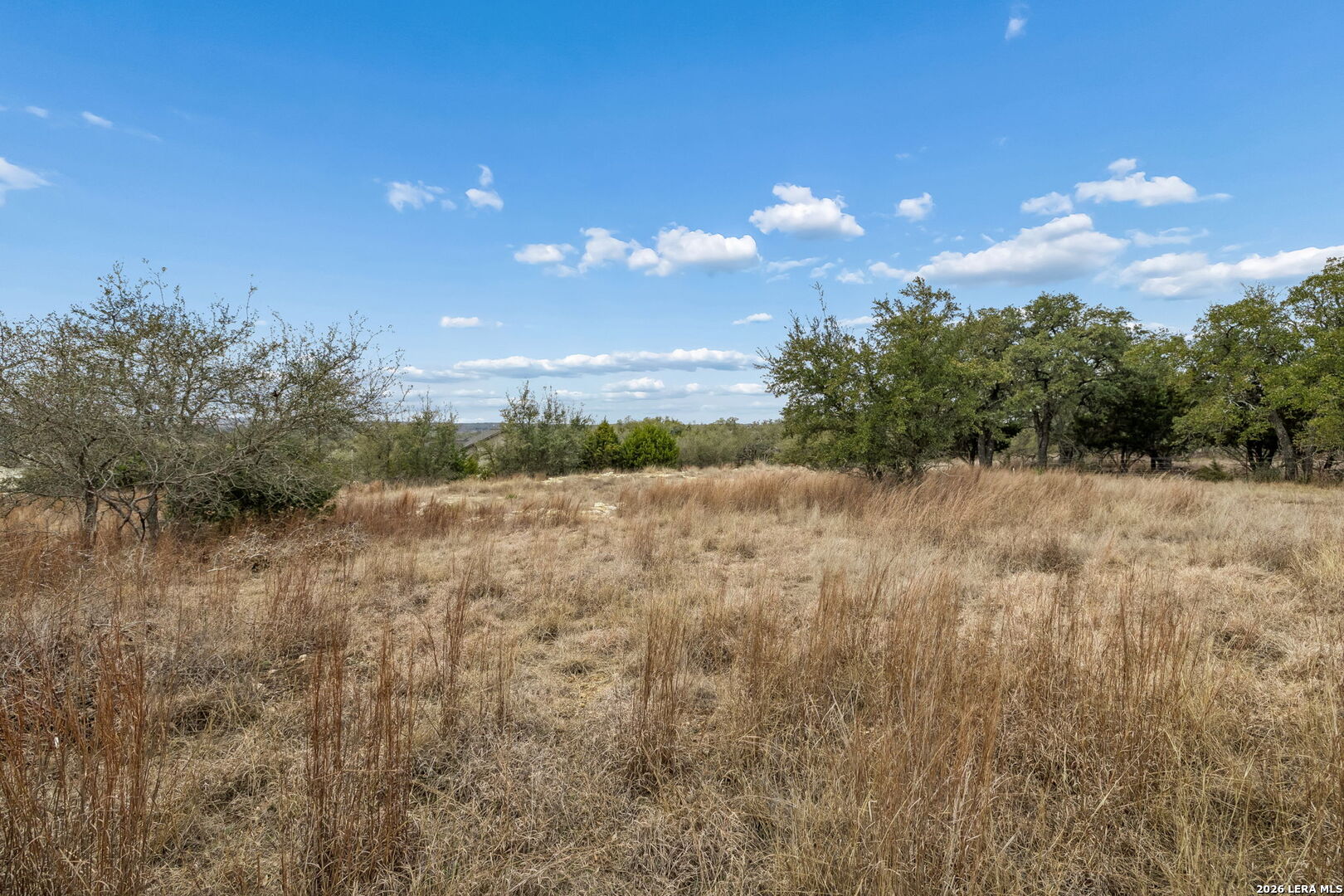 134 E Alex Jordan Blanco TX 78606