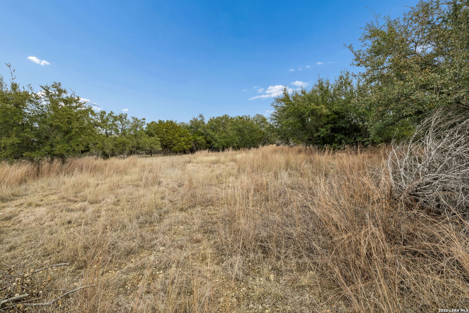 134 E Alex Jordan Blanco TX 78606