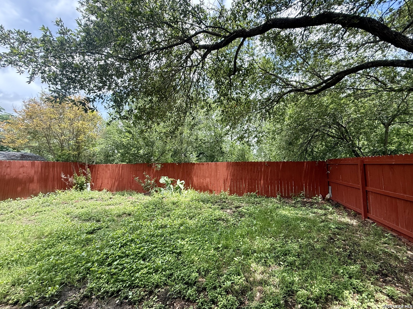 12123 Netherwood Lane San Antonio TX 78253