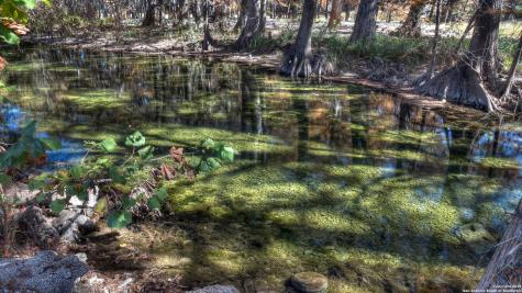 6454 N Us Highway 83 Leakey TX 78873