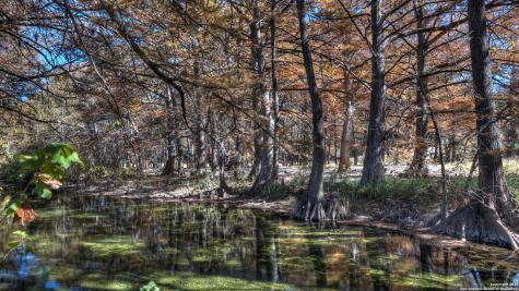 6454 N Us Highway 83 Leakey TX 78873