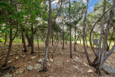 464 Upland Court Canyon Lake TX 78133
