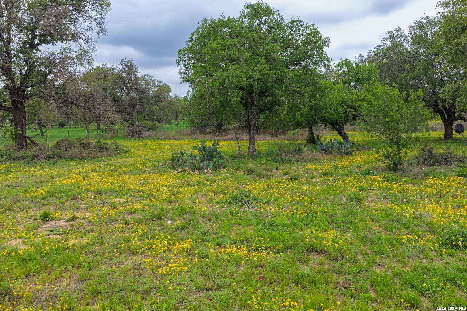 1407 County Road 761 Devine TX 78016
