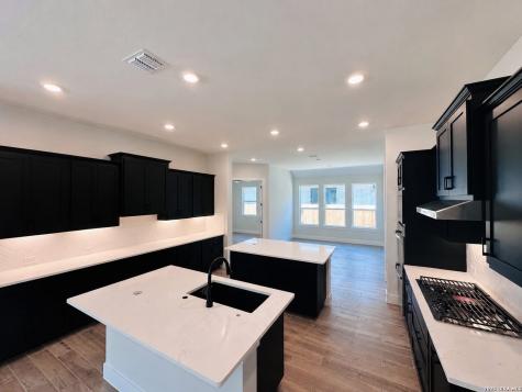 3716 Moru Oak Drive Seguin TX 78155