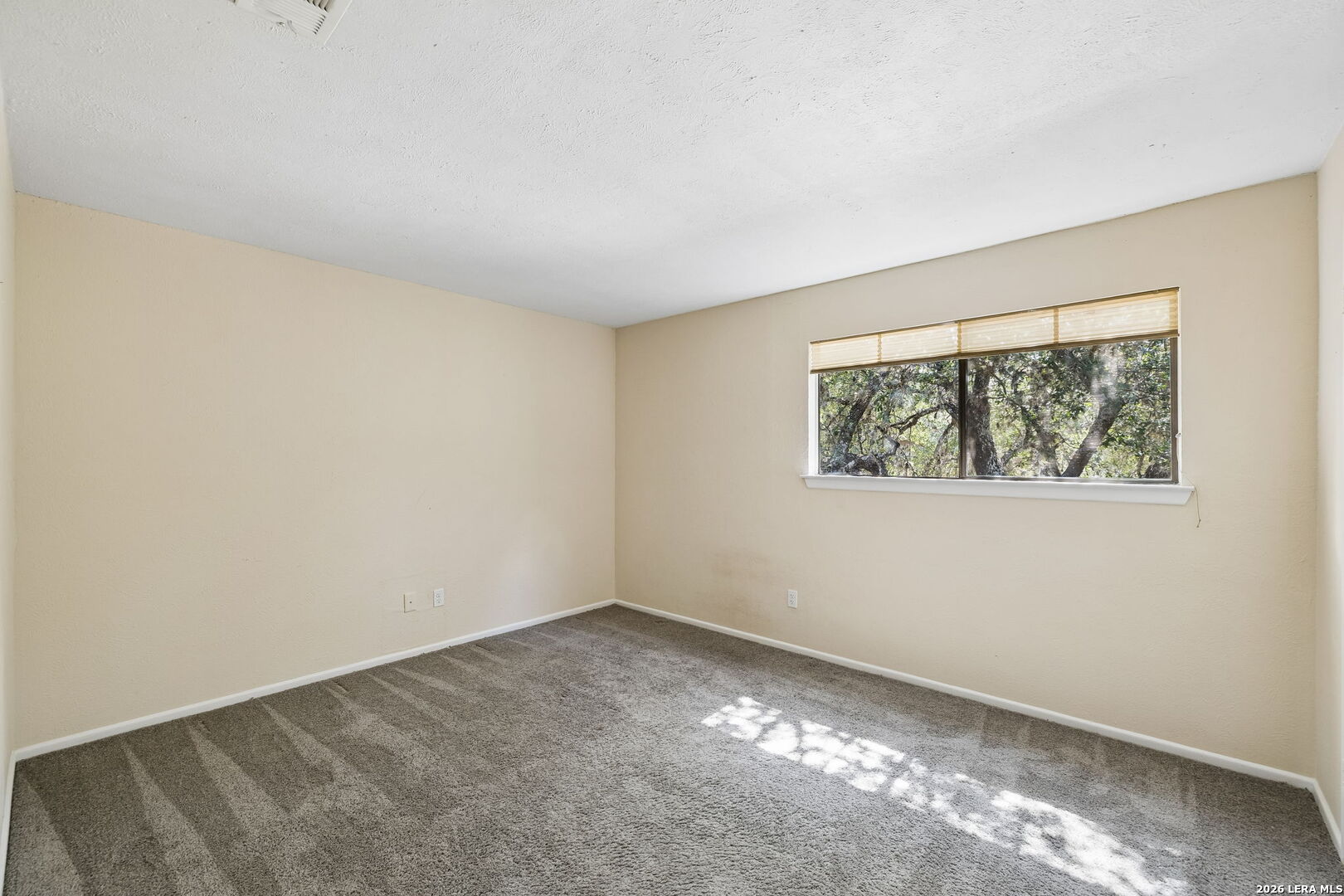 11810 Button Willow Cove San Antonio TX 78213