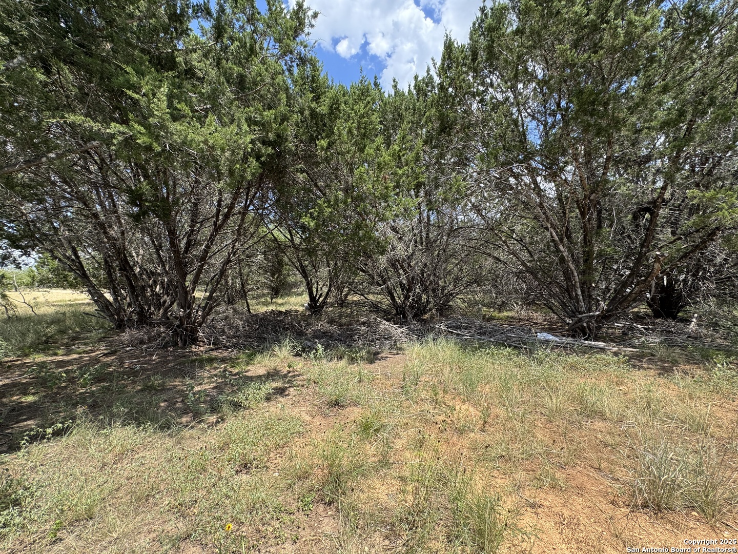 0 Nacona Drive Bandera TX 78003