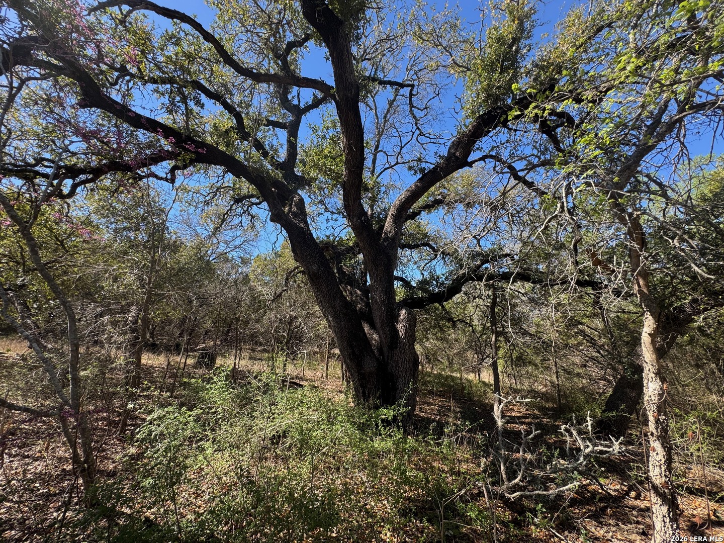 2147 Tejas Trail Blanco TX 78606