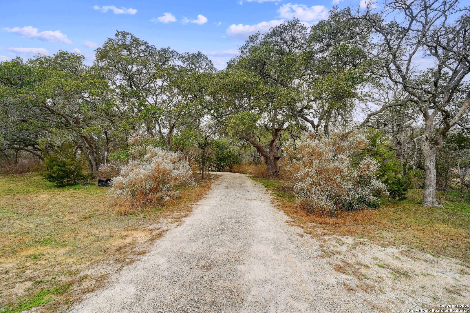 2147 Tejas Trail Blanco TX 78606