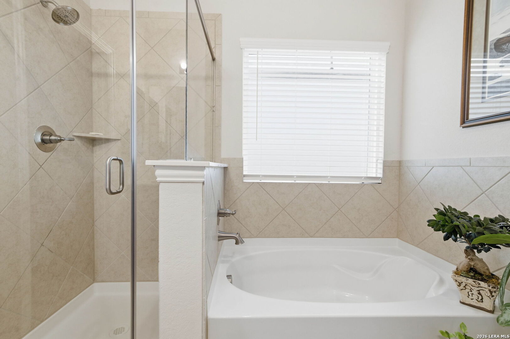 218 Antelope San Antonio TX 78253