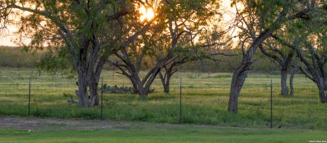 580 Fm 1332 Jourdanton TX 78026