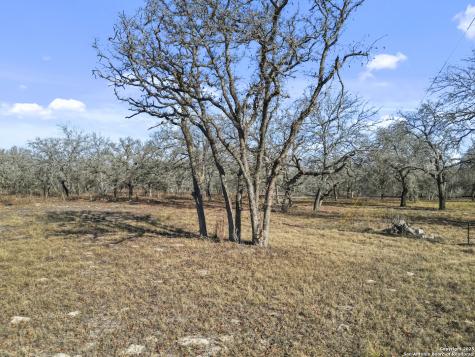 161 Hondo Ridge La Vernia TX 78121