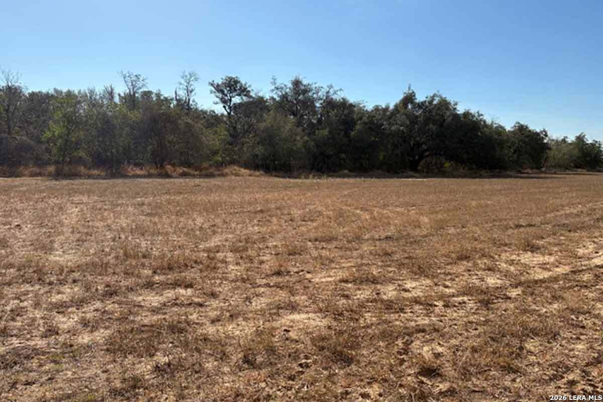 8.3 Acres New Sulphur Springs Road San Antonio TX 78263