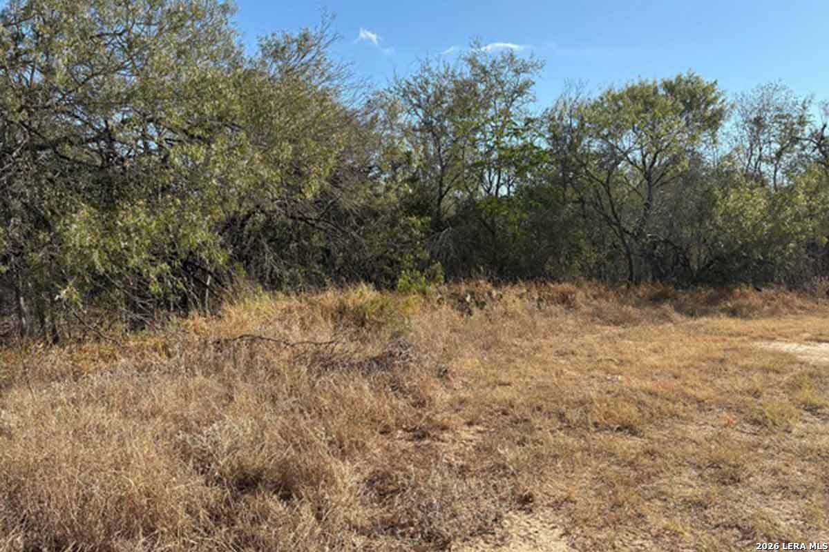 8.3 Acres New Sulphur Springs Road San Antonio TX 78263