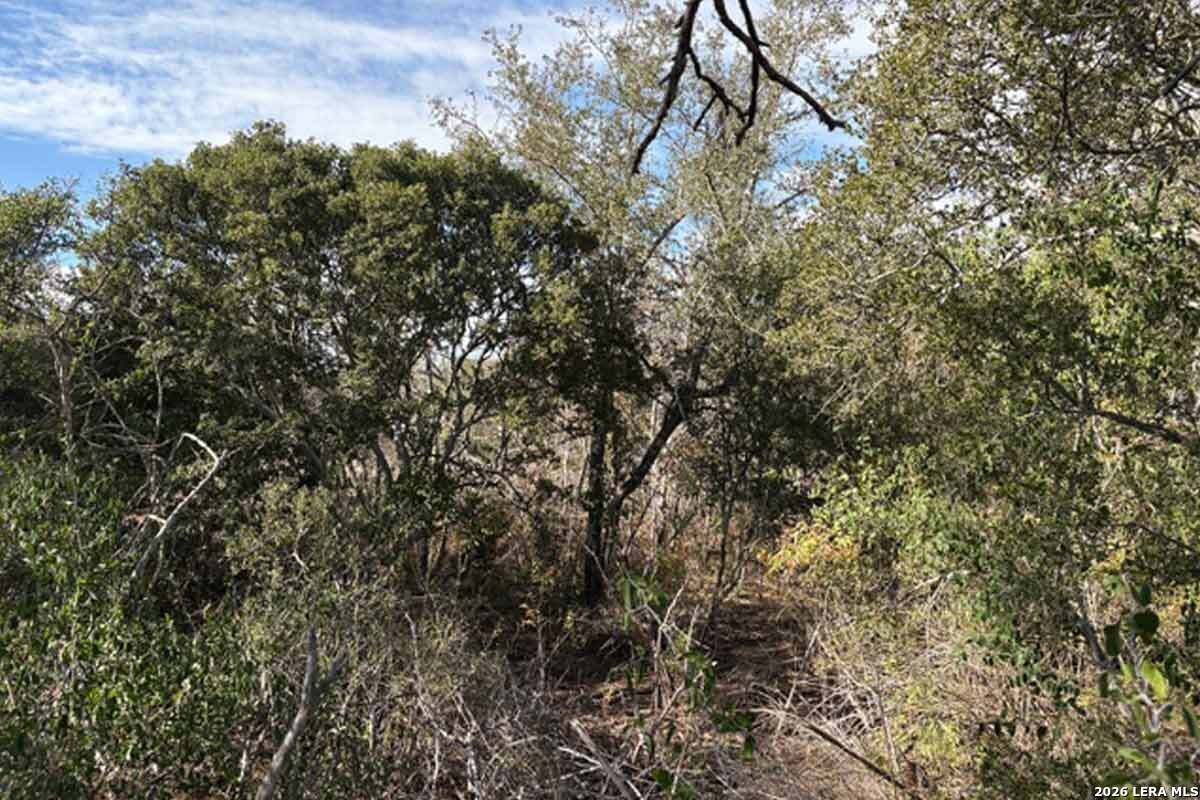 8.3 Acres New Sulphur Springs Road San Antonio TX 78263