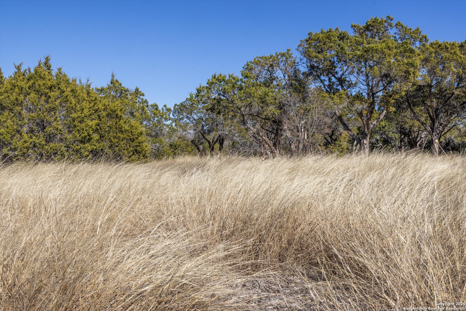 Lot 36 Shin Oak Bend Bertram TX 78605
