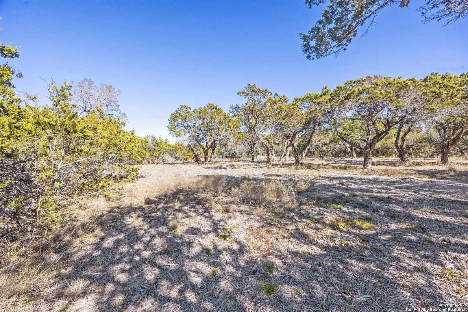 Lot 36 Shin Oak Bend Bertram TX 78605