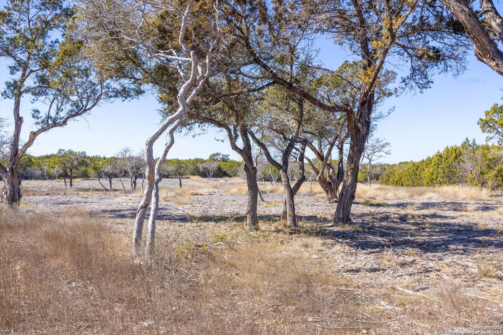 Lot 36 Shin Oak Bend Bertram TX 78605