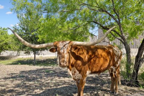 148 Lakecreek New Braunfels TX 78130