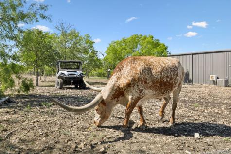 148 Lakecreek New Braunfels TX 78130