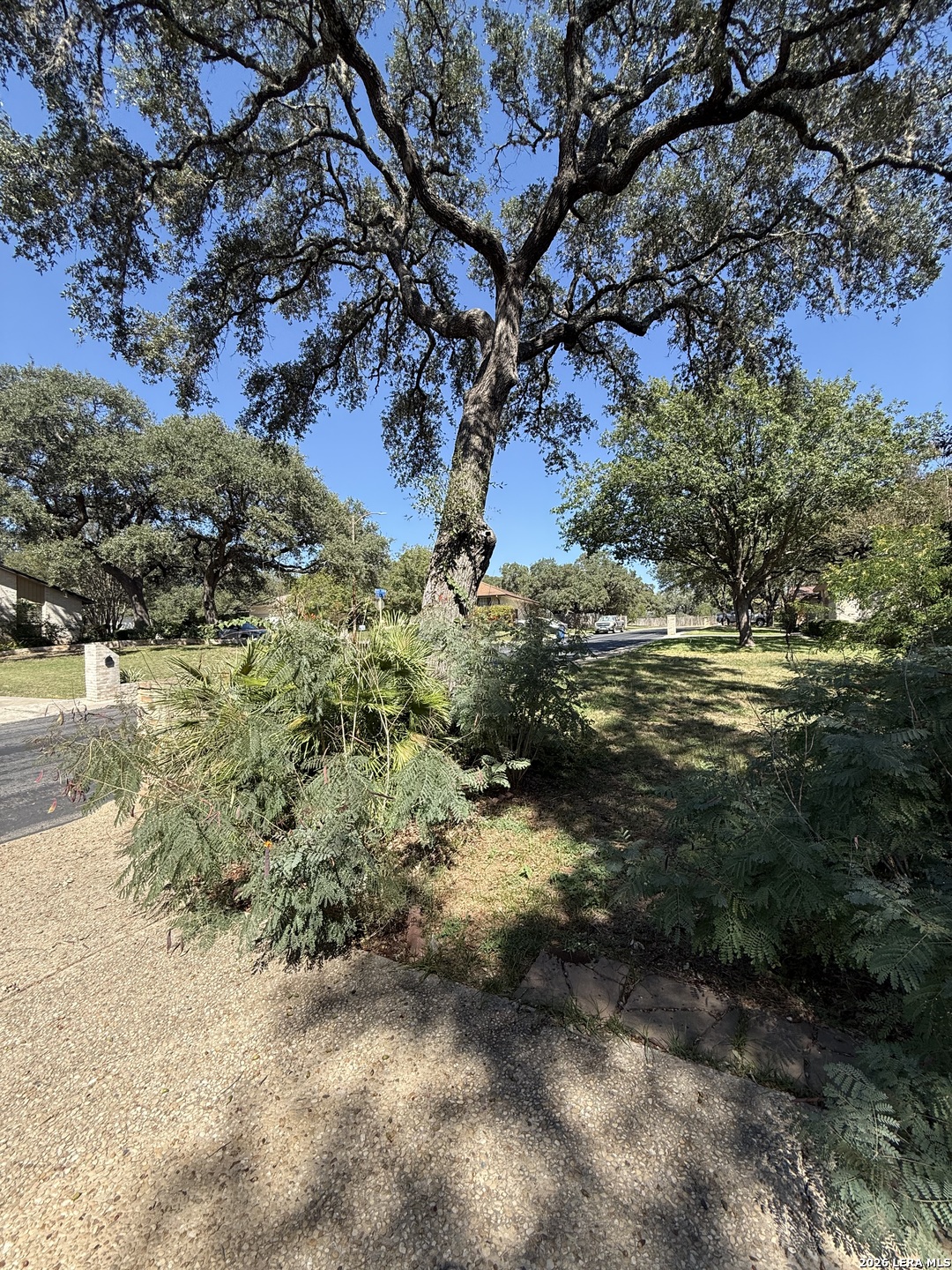 19942 Park Hollow San Antonio TX 78259