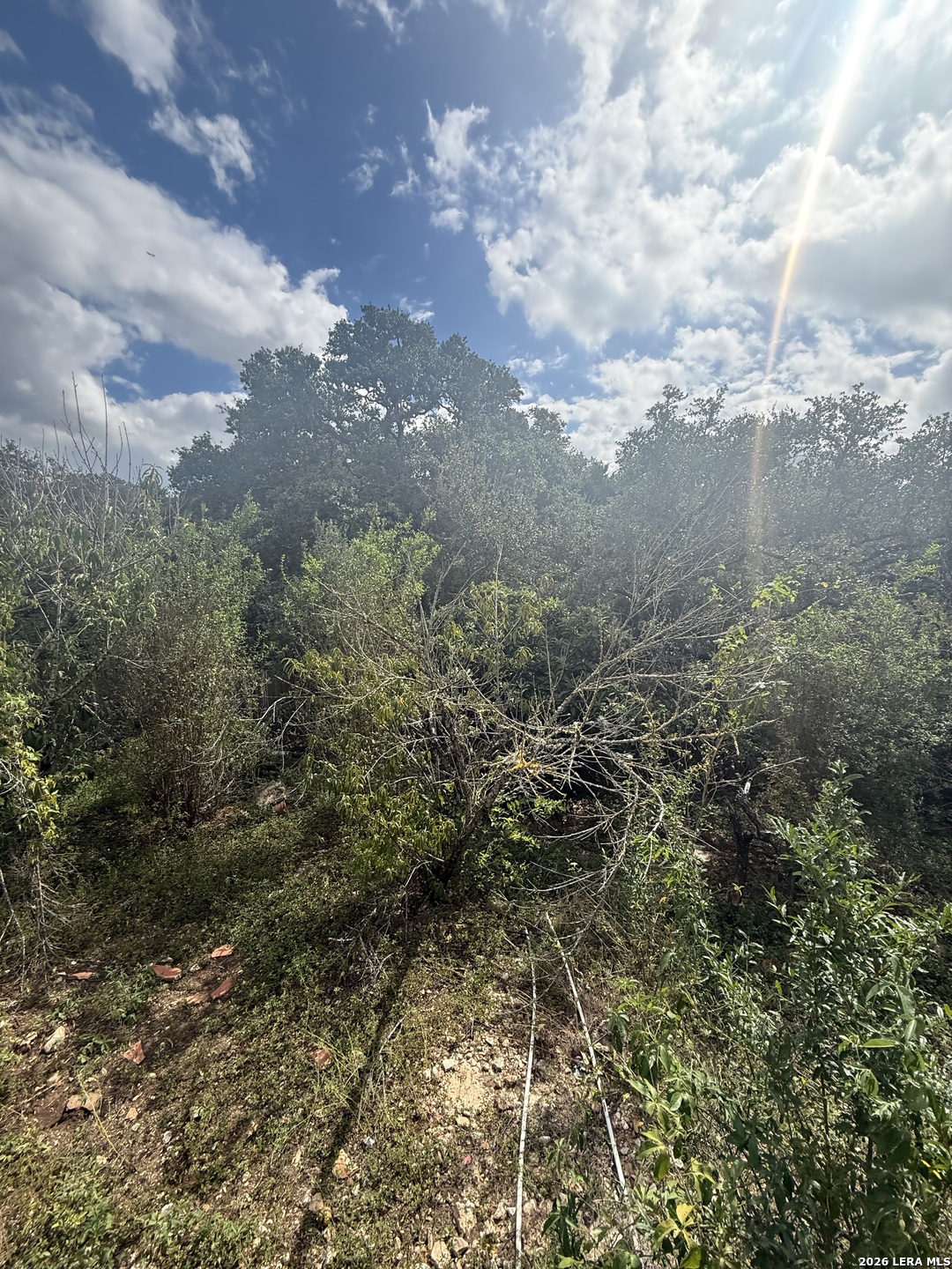 19942 Park Hollow San Antonio TX 78259