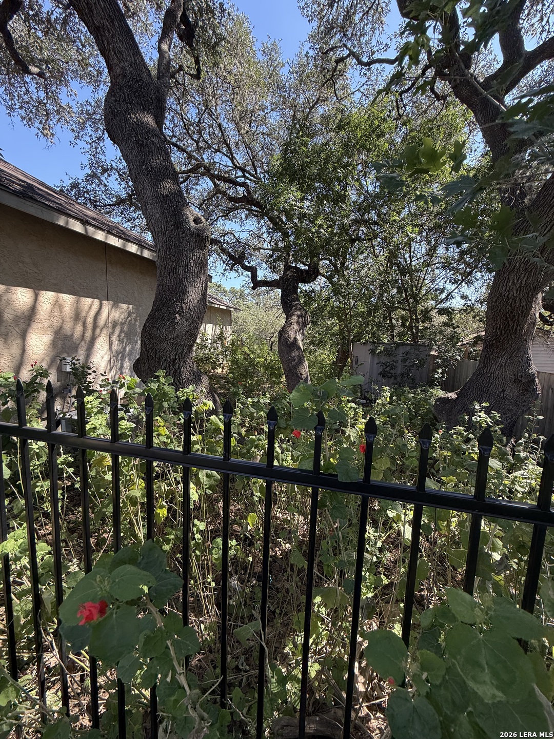19942 Park Hollow San Antonio TX 78259