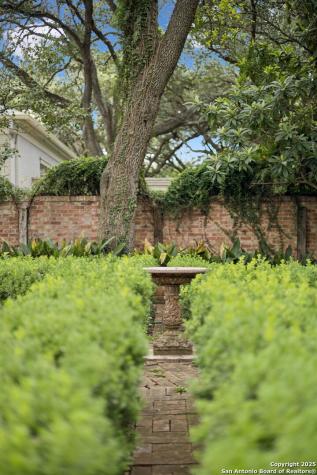 424 Ivy San Antonio TX 78209