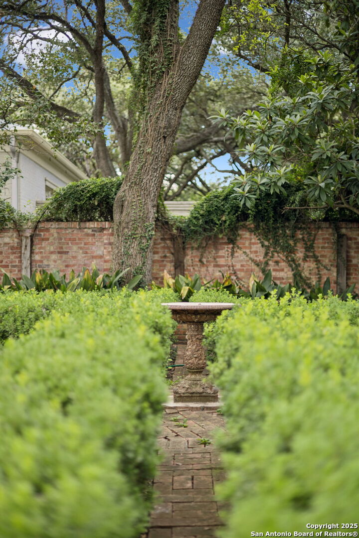 424 Ivy San Antonio TX 78209