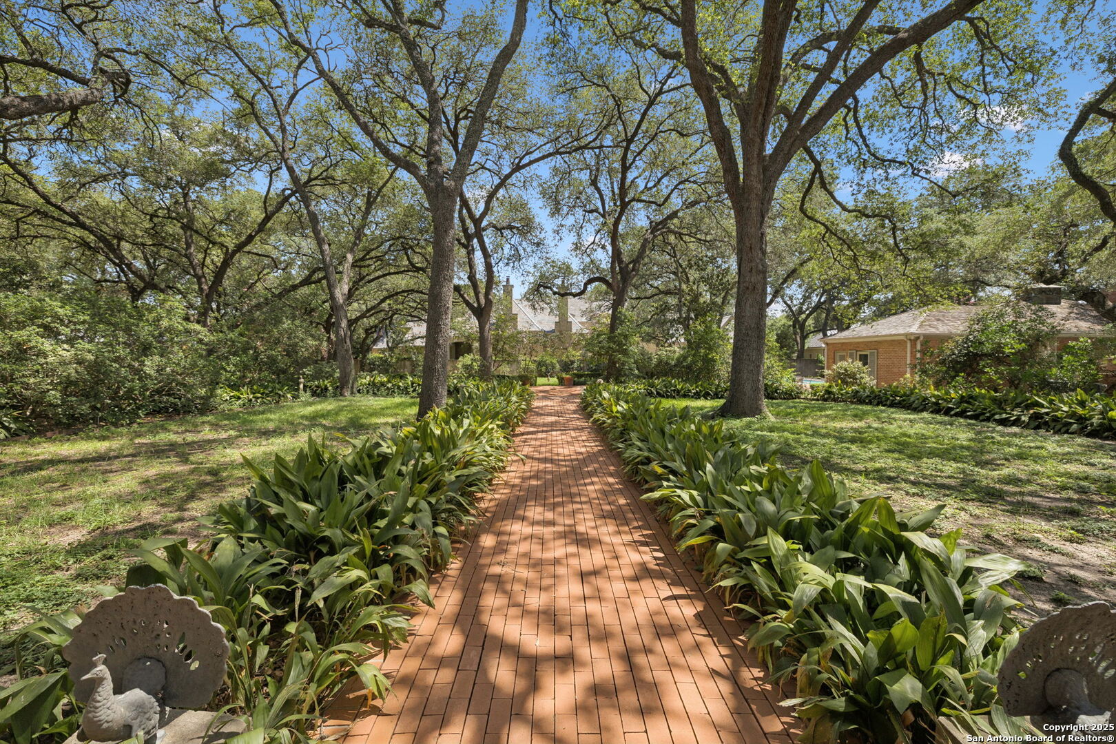 424 Ivy San Antonio TX 78209
