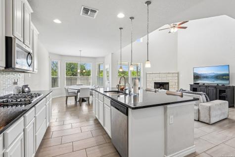 29734 Wackford Ridge Fair Oaks Ranch TX 78015