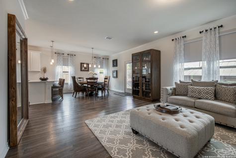 10007 Overlook Point San Antonio TX 78245